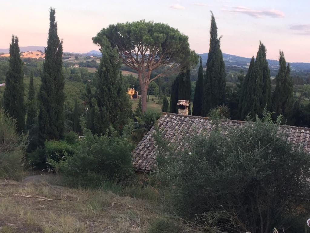 Bed and Breakfast Casale Sant'Elia Capranica Exterior foto